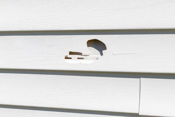 Affordable siding repair and maintenance services in Kent, WA