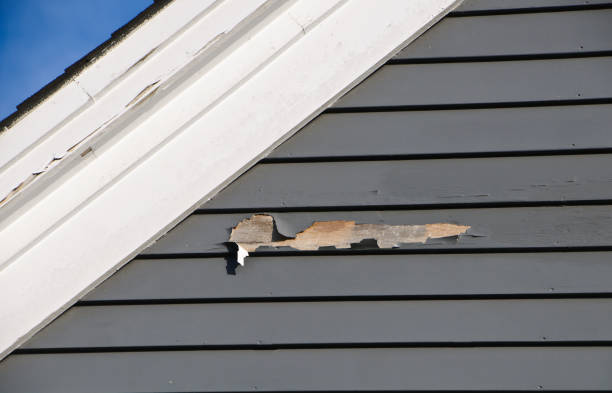 Best Residential Vinyl Siding Installation  in Kent, WA