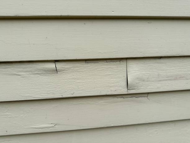 Best Custom Trim and Detailing for Siding  in Kent, WA